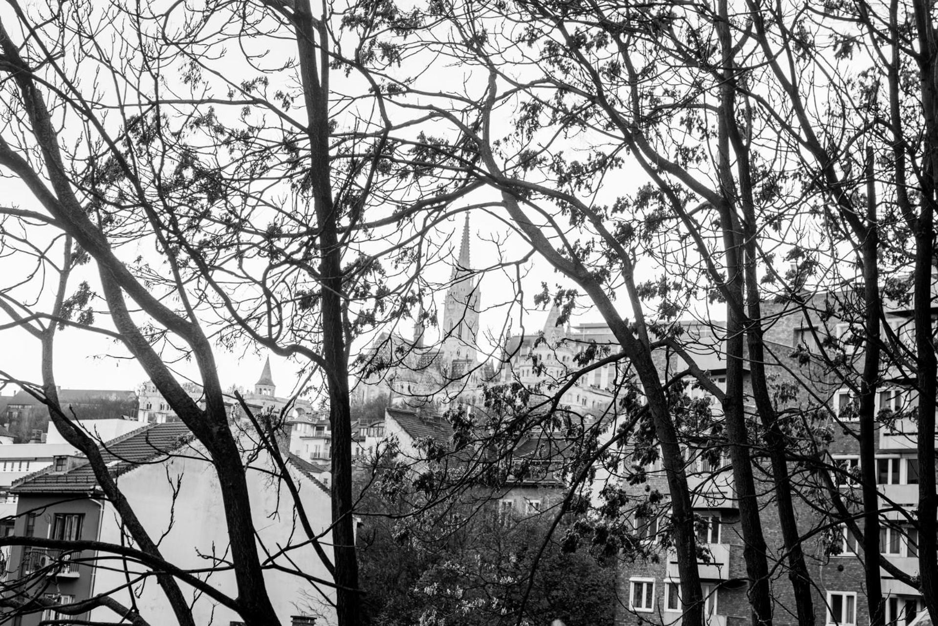 With Parliament View Apartment *